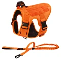 Dog vest and leash