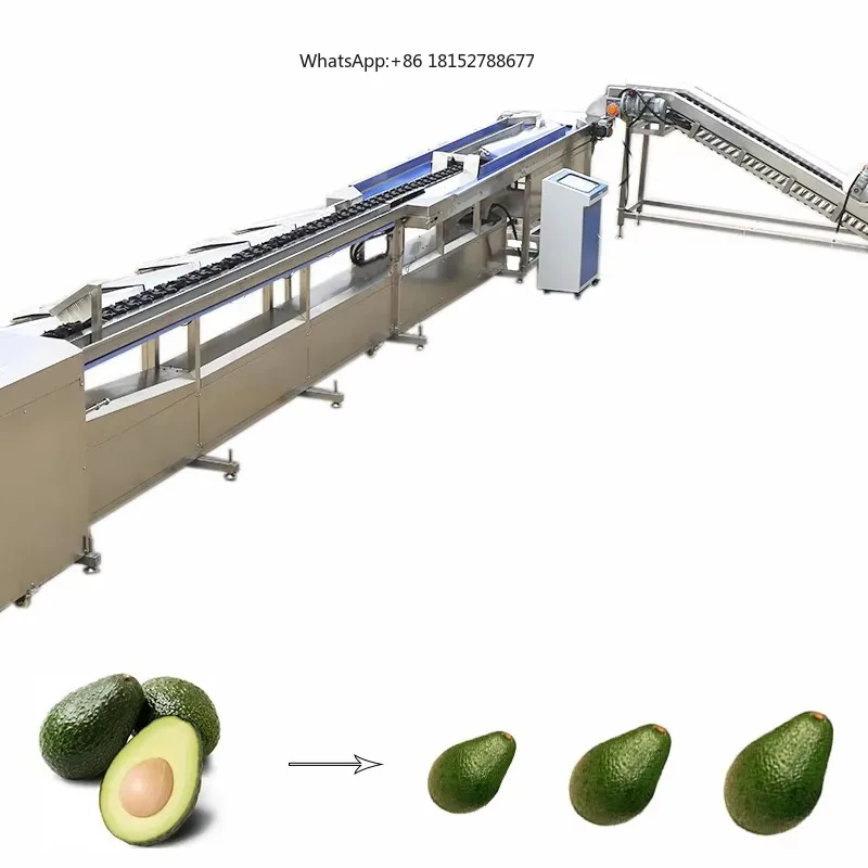Avocado Orange Cranberry Peach Corn Vegetable Onion Grader Lemon Fruit Eco-Friendly Sensor Model