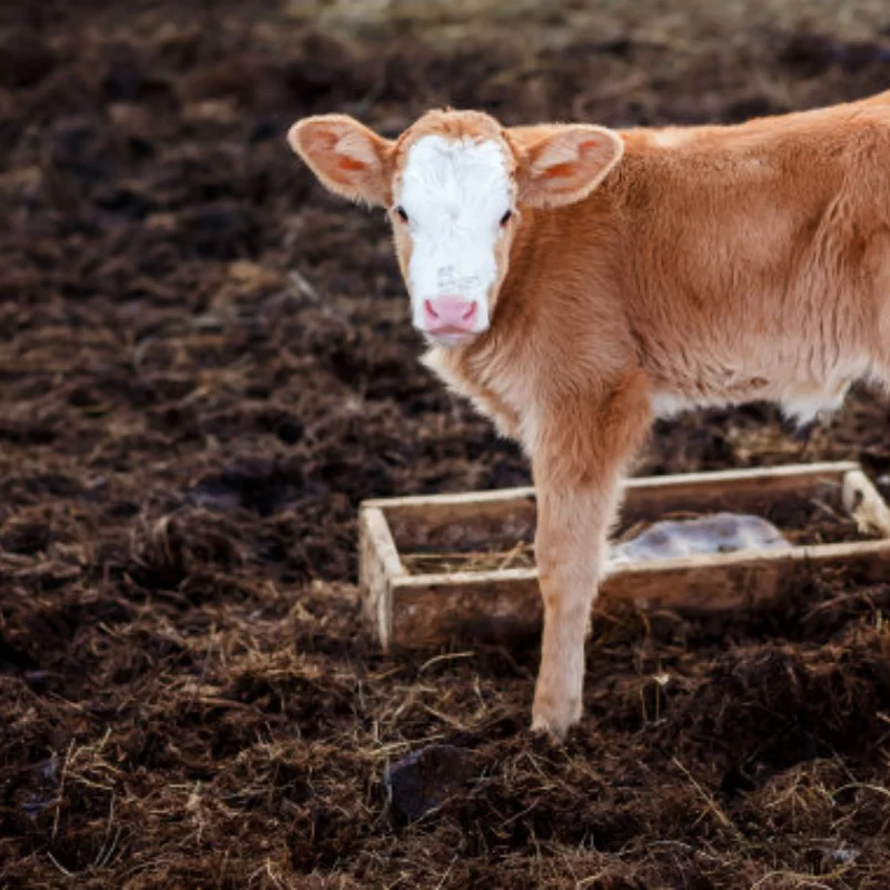 

4 шт. 1,9 120 мм альпинистская шина для скалолазания для SCX10 90046 D90 TRX4 TRX6 D298