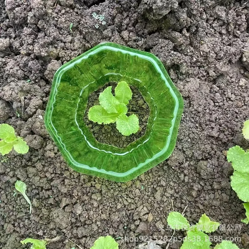 Pacquiao (real boxing manny vs много денег slots mayweather jinkee 2 boxrec) купить от 57,00 руб. Топы и футболки на 1rub.ru