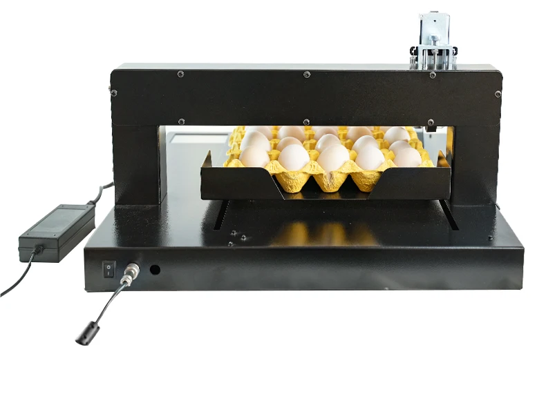 Eggs Industrial Inkjet Printer Marking Inkjet Printer Coding Machine For Egg Inkjet Printer Egg Stamping Machine