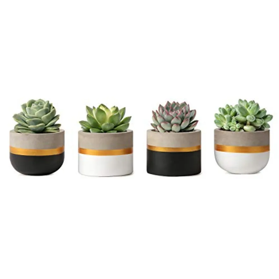

3 Inch Mini Succulent Pots Concrete Planter Set Modern Tiny Container for Indoor Plants Christmas Home Office Dr Gifts for Plan