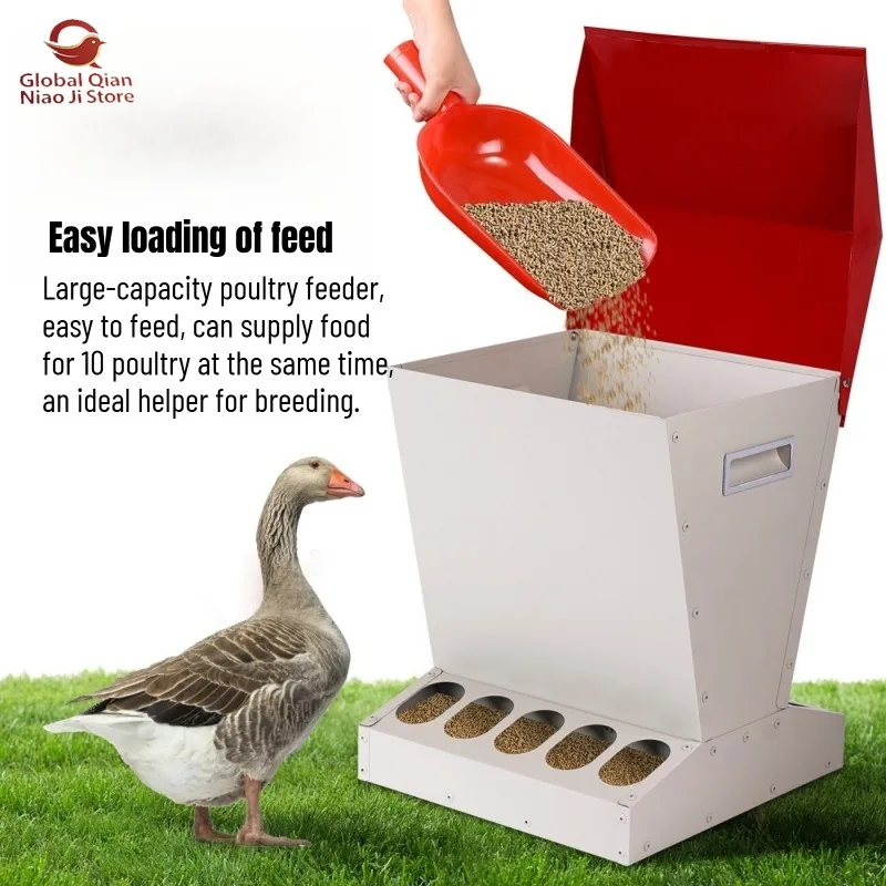 New Chicken Feed Trough, Automatic Chicken Feeder, Feed Trough, Vertical Chicken Feeding Trough,Rat-Proof,Poultry Feeding Trough