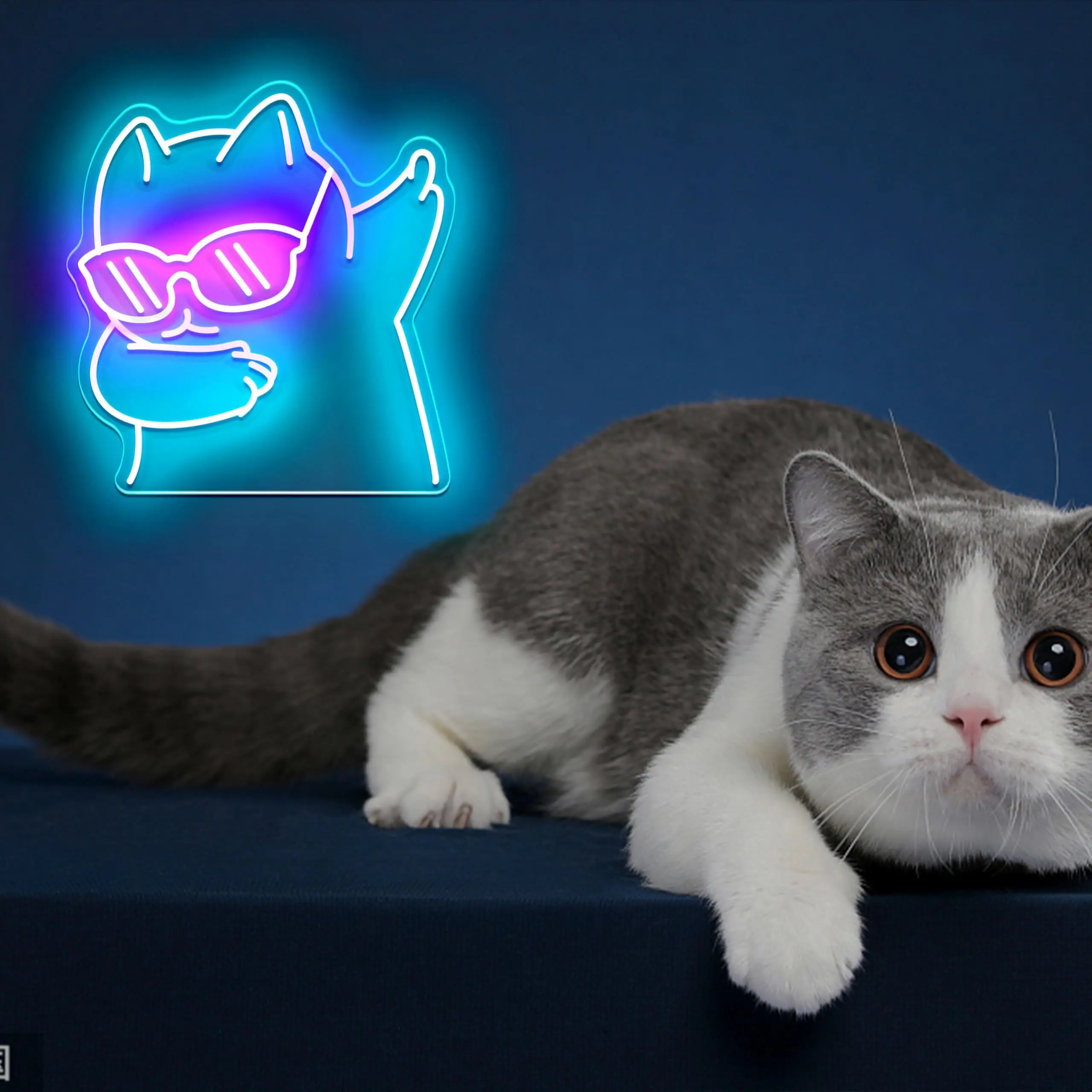 Cat LED Neon - Engraved Acrylic Design, USB Powered Dimmable LED Neon, Suitable for Cat Cafes, Parties, Game Room Wall Decor