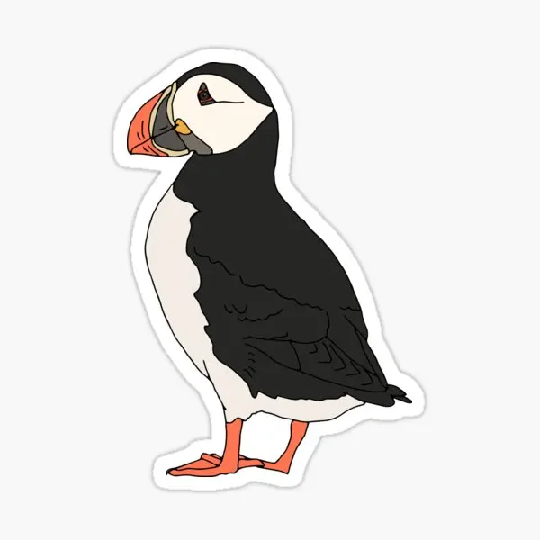 Atlantic Puffin Illustration  5PCS Stickers for Bumper Kid Decorations Luggage Living Room Anime Cute Window Funny Art Cartoon