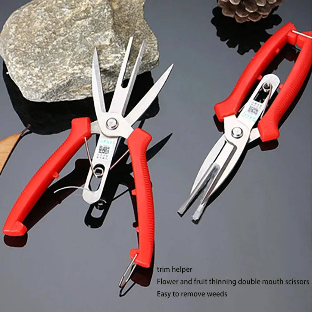 Double-port Agriculture Thinning Scissors Fruit Flower Bonsai thinning Shears Multi-use Pruning Garden Picking Cultivating Tool