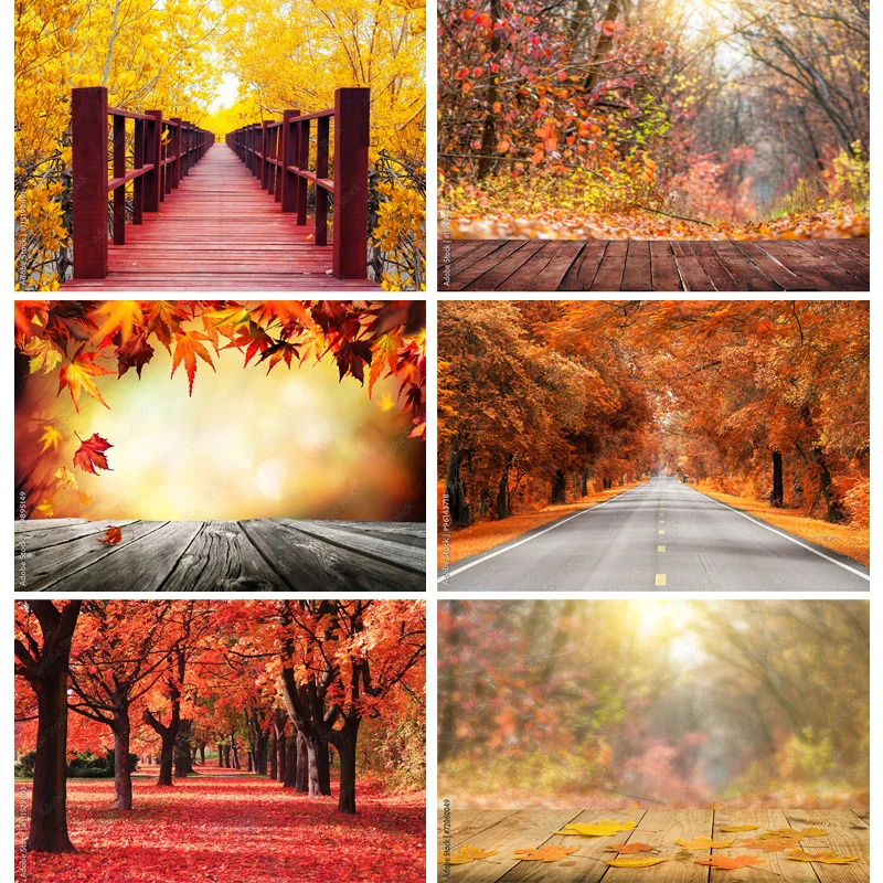 

Natural Scenery Photography Background Fall Leaves Forest Landscape Travel Photo Backdrops Studio Props 211224 QQTT-02