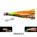 TR010-C1