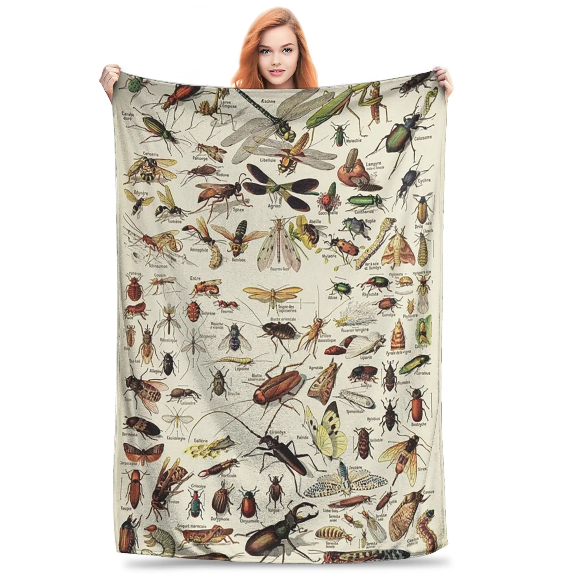 Insects Chart. Scientific Illustration, text in french Blankets Soft Warm Flannel Throw Blanket Cover for Bed Picnic Travel Home