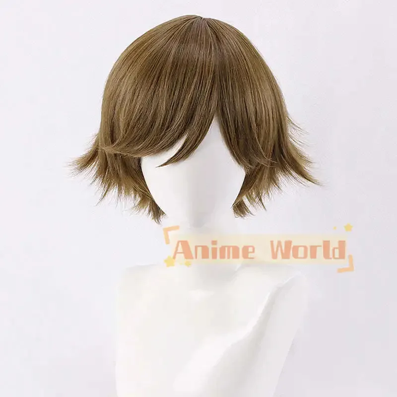 Aaa 2025 Persona 3 …