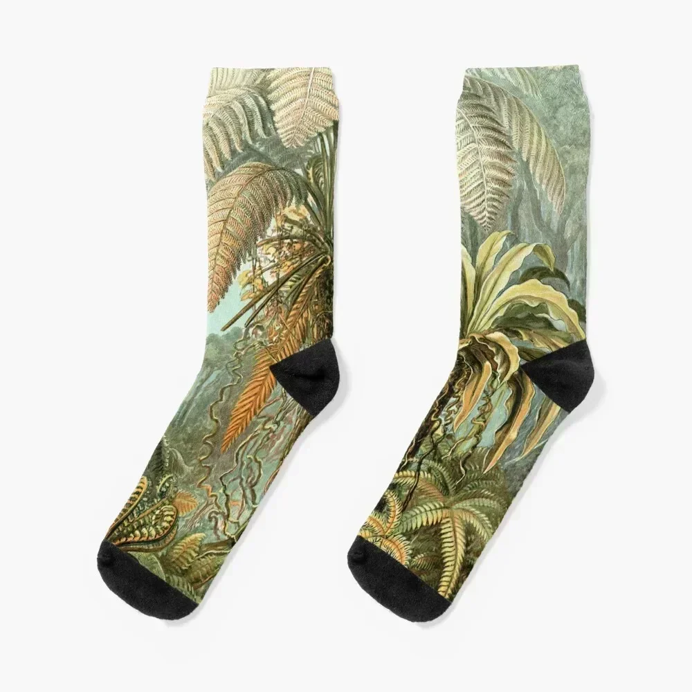 

Vintage Tropical Palm Illustration Painting Artwork Socks Stockings man sports and leisure Boy Child Socks Women's