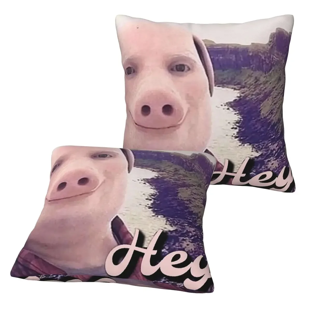 

John Pork 2 pcs Square Pillowcase Pillow Cover Cushion Decor Comfort Throw Pillow for Home Bedroom