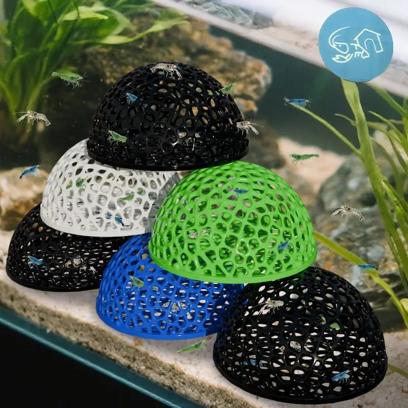 yZ[zpBƁAEGr̔ɐBExeEVяAAېAoXPbg