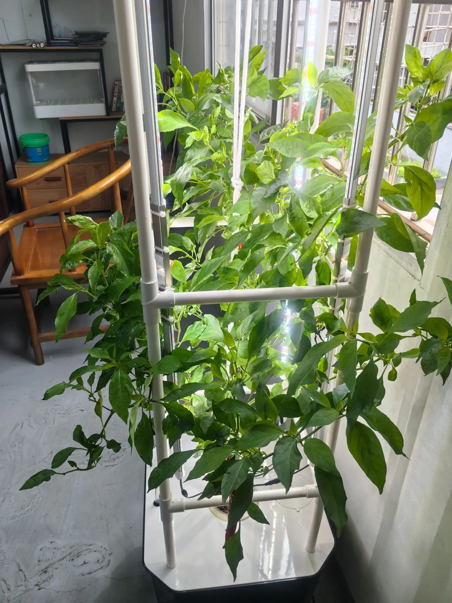 boite-de-plantation-de-fruits-incubateur-de-plantes-d'interieur-equipement-de-culture-sans-sol-jardiniere-pour-legumes