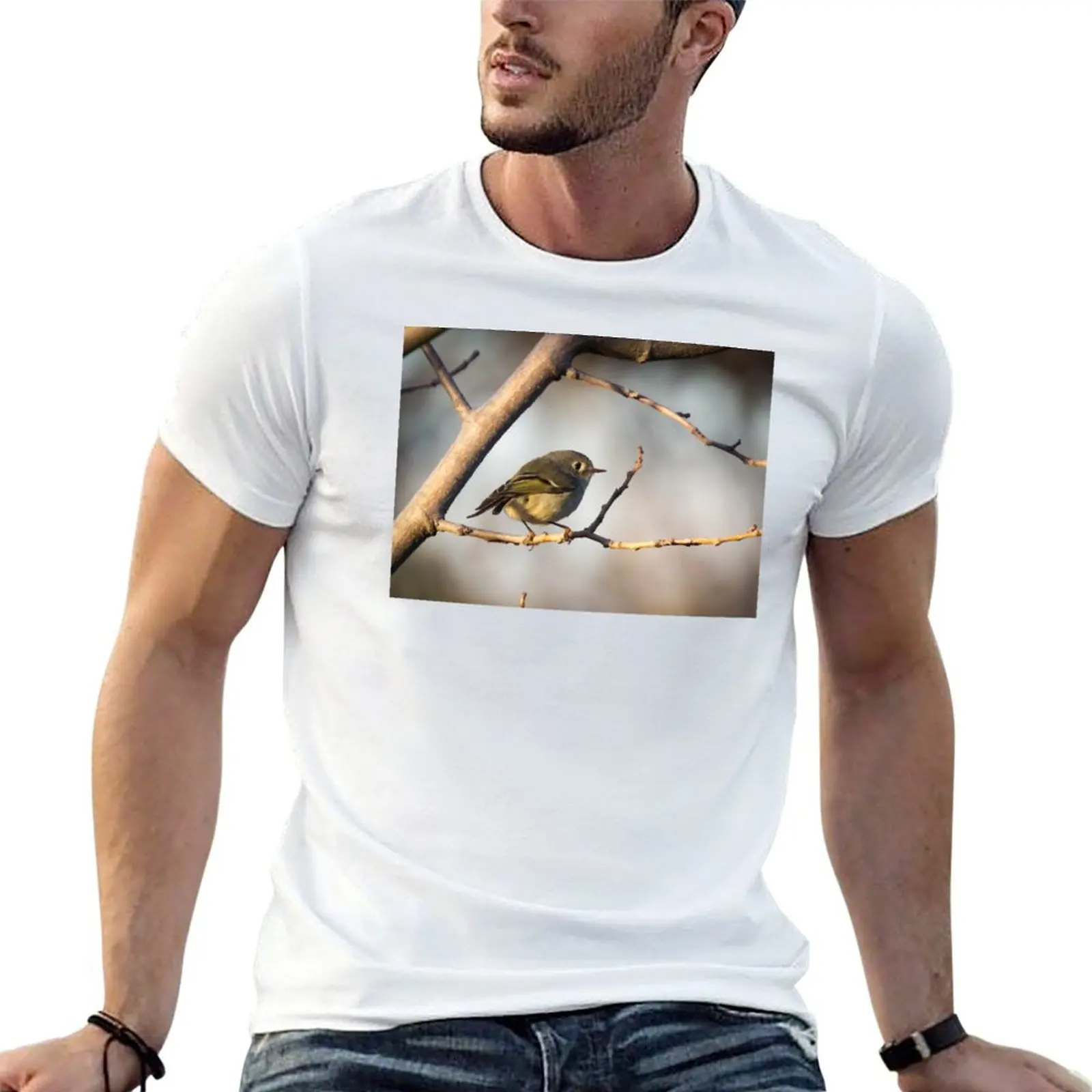 Ruby-crowned Kinglet T-Shirt vintage t shirts football t shirt mens cotton t shirts