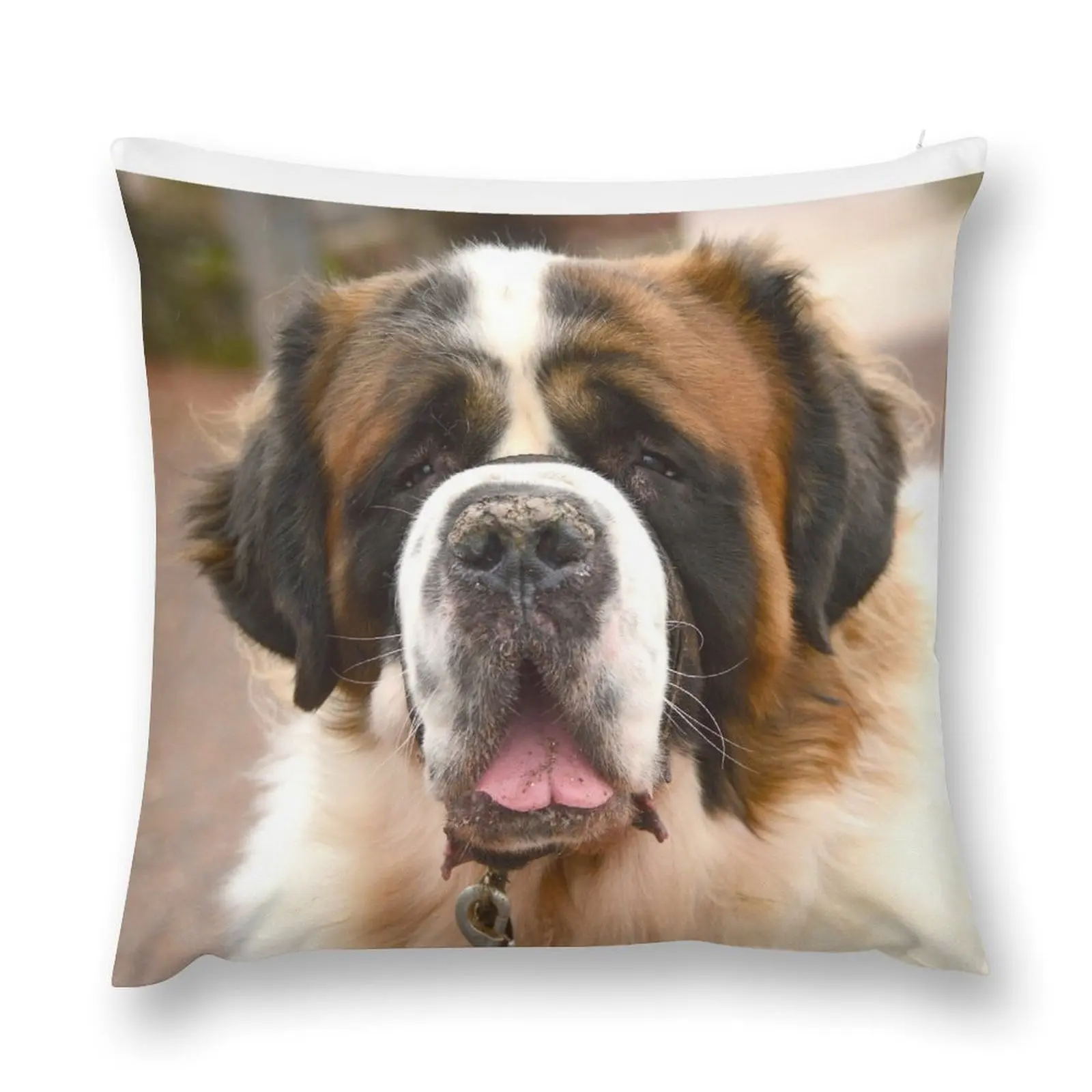 St Bernard dog - ready for a hug! Throw Pillow Sofa Cushion Couch Cushions Decorative Cushions Pillowcases pillow