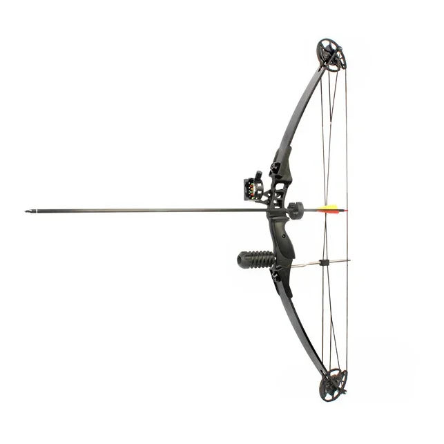 M183 outdoor shooting archery wholesale compound bow for hunting