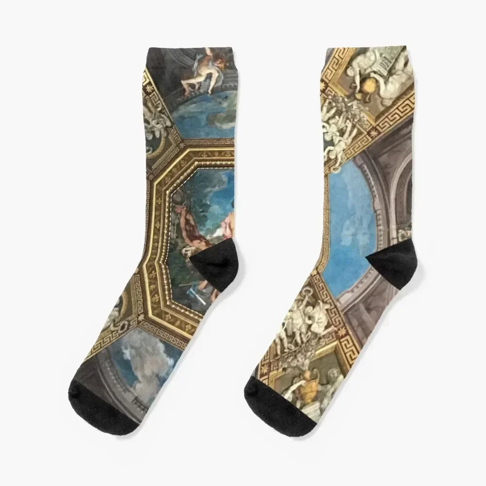 

Ceiling, Vatican Musuem Socks new in's anti slip football summer anti-slip Man Socks Women's