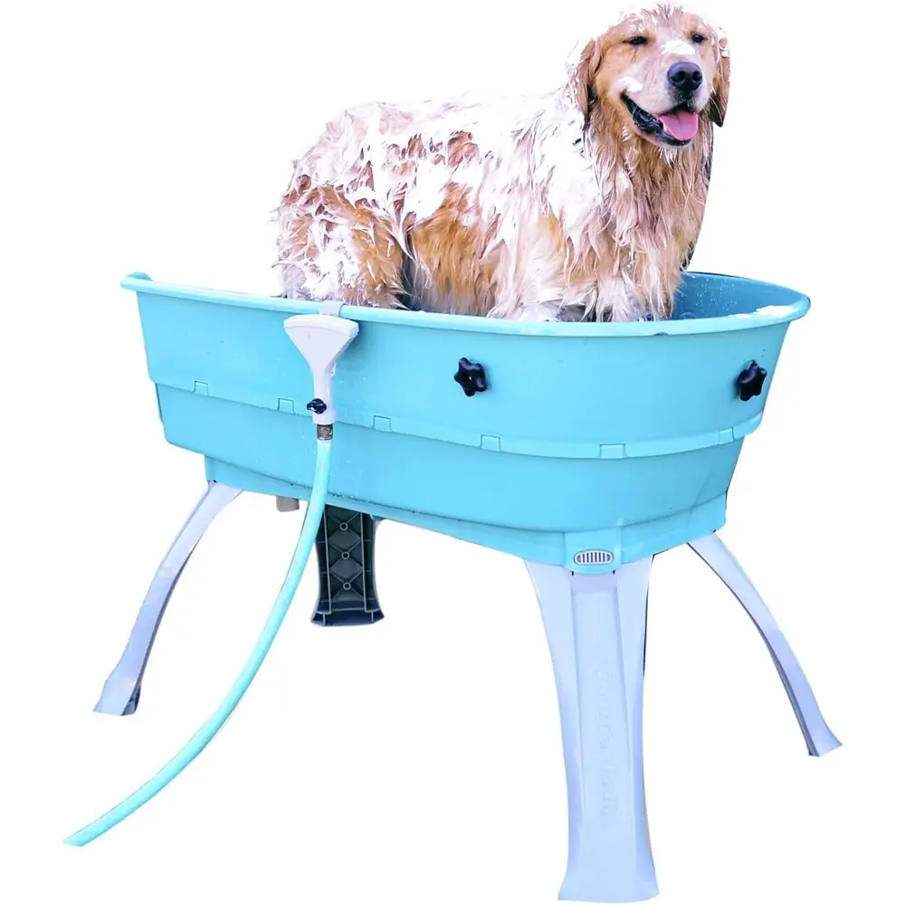 

Elevated Pet Bathing, Teal, Large (Pack of 1)