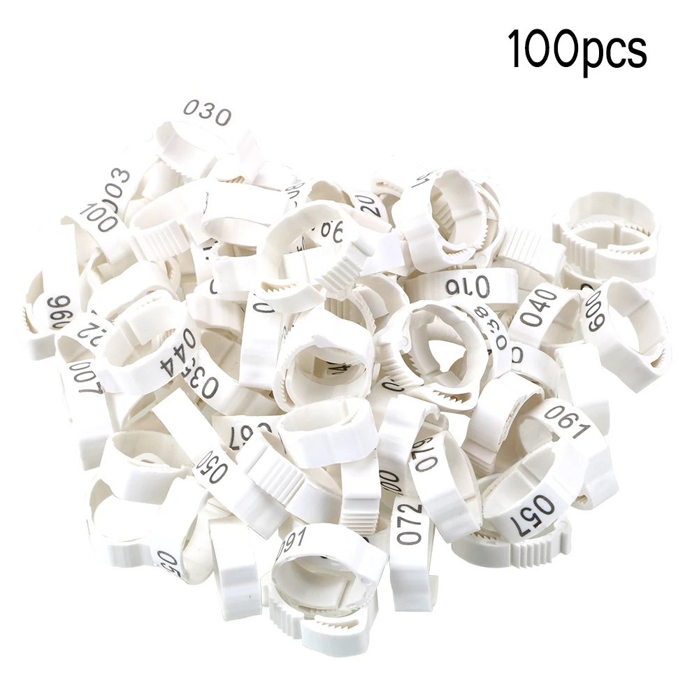 Perna Digital Label Anel do Pé, Anel de fivela ajustável para frango, pato, pombo, aleatoriamente cor, 100pcs por conjunto