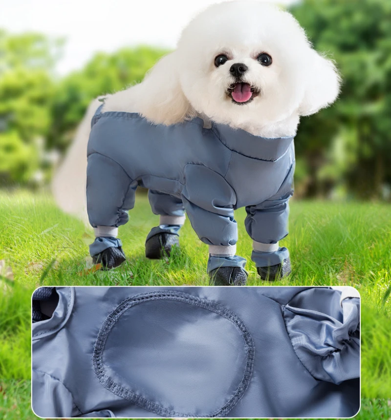 Thumbnail 4 - #55 Best Dog Boots to Buy In 2026