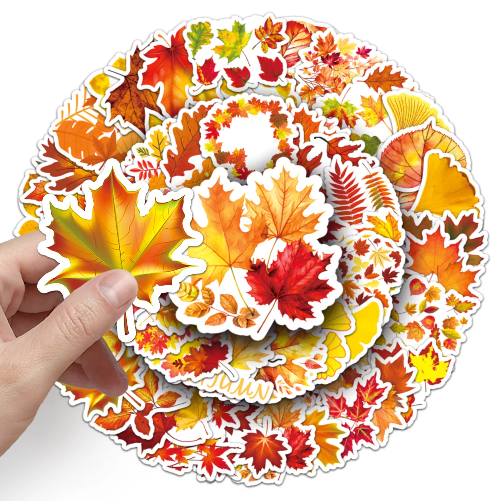 50 Stuks Herfst Bladeren Serie Graffiti Stickers Geschikt Voor Laptop Helmen Desktop Decoratie Diy Stickers Speelgoed Groothandel