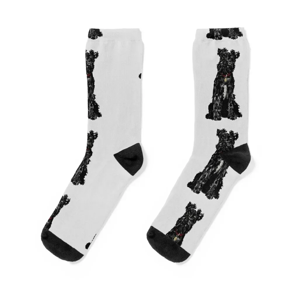 Dennis the Black Miniature Schnauzer Dog Sitting Socks hiking hockey tennis Boy Socks Women's