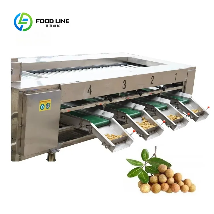 Roller Fruit Grading Machine Cherry Tomato Longan Size Sorting Equipment High Efficiency Good After Sale Service Customized