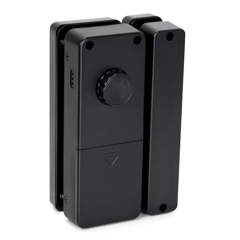 Fechadura com senha para porta de vidro FL100, sem perfuração, fechadura com impressão digital para escritório, para lojas, porta única e dupla, fechadura de porta de vidro