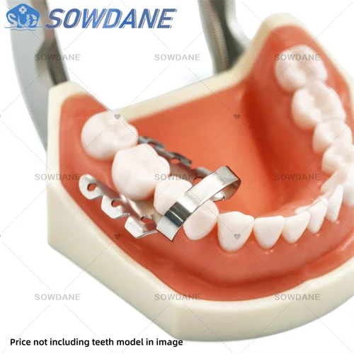 Imagen 2 del producto Abrazadera de goma para extensión distal Dental, Clip de barrera de goma, abrazadera Premolar de acero inoxidable, herramienta de reparación de dientes
