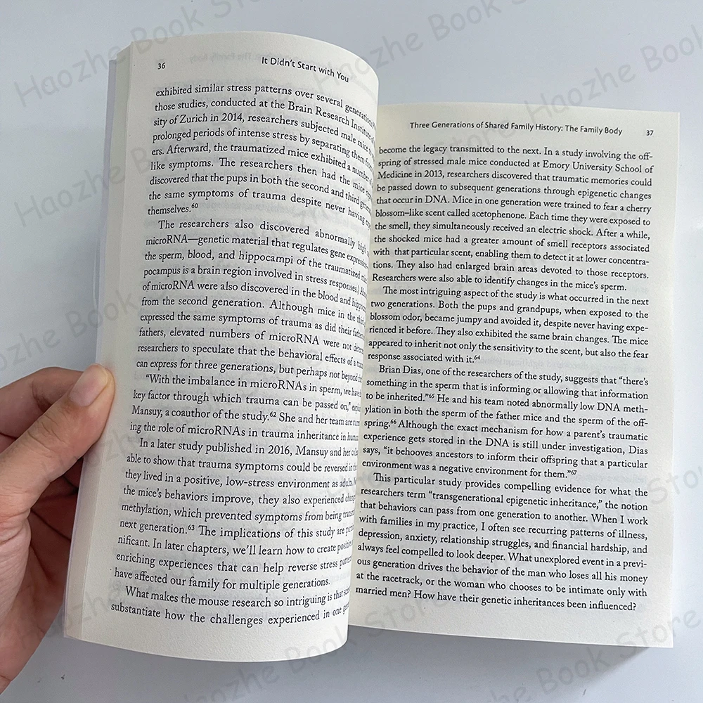 Imagem -04 - English Book Paperback Não Começou com Você: Como o Trauma Familiar Herdado Molda Quem Somos e Como Terminar o Ciclo