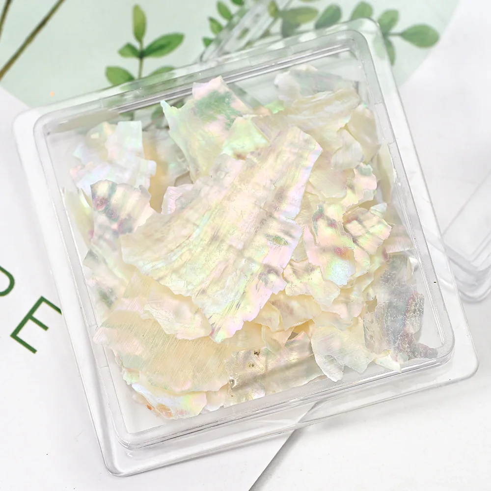 Accesorios para Uñas con Piezas de Concha Irregulares y Coloridas, Nuevas Piezas de Concha Ultrafinas en Caja Cuadrada Pequeña, Múltiples Estilos