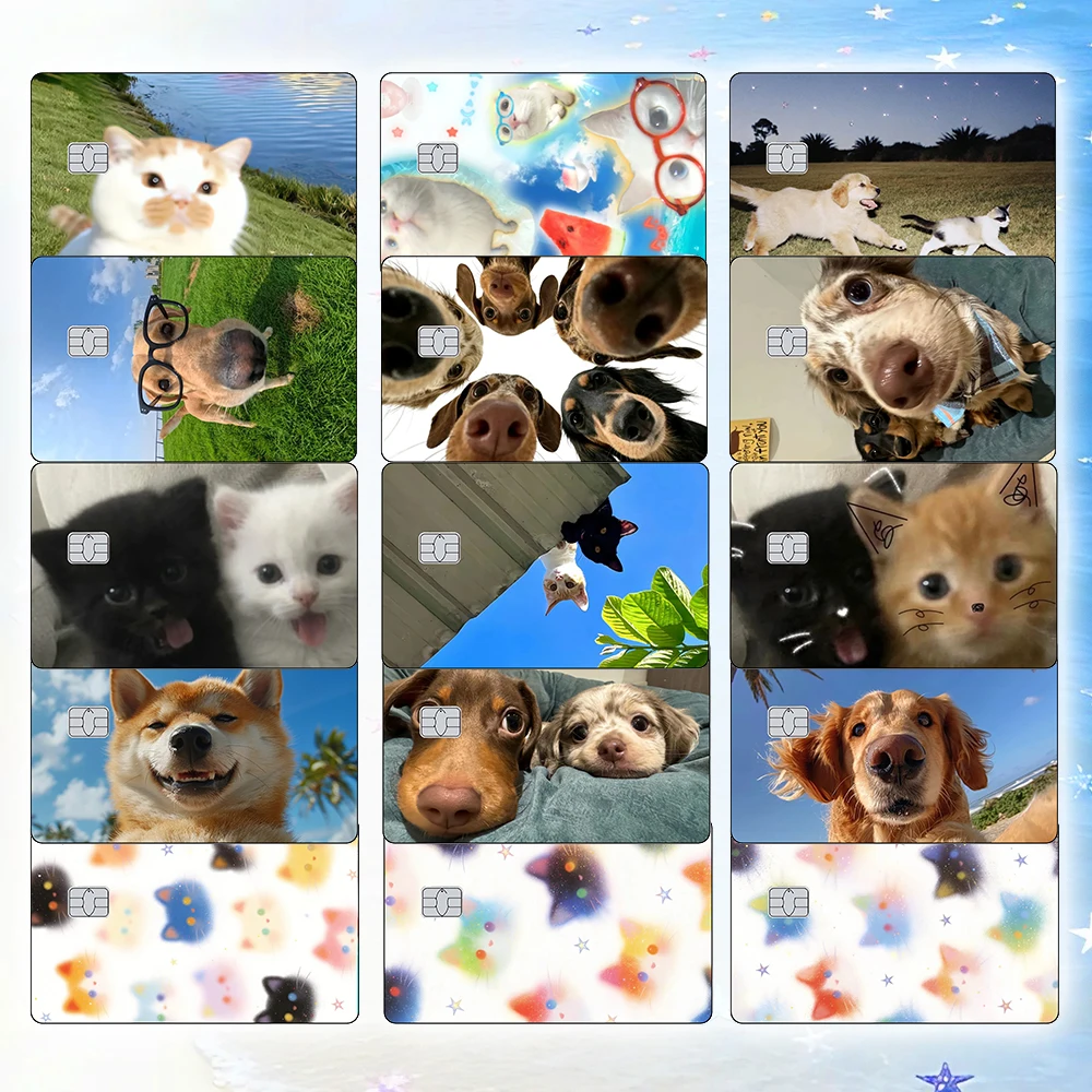 Pegatinas para Tarjetas de Crédito con Diseños de Memes de Gatos, Adhesivos Mate con Lindos Perros y Gatitos para Decorar Tarjetas Bancarias VISA, JCB, MasterCard y Otras Tarjetas con Chip IC