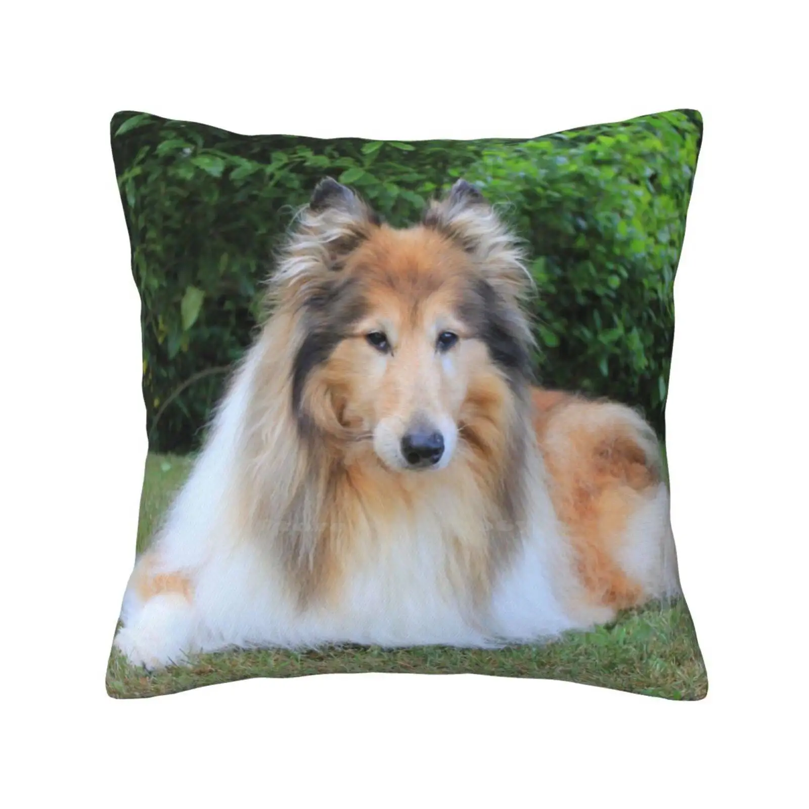 Sable Rough Collie Fashion Sofa Throw Pillow Cover Pillowcase Dogs Rough Collies Sable Lassie Scotch Collie Canine Portrait