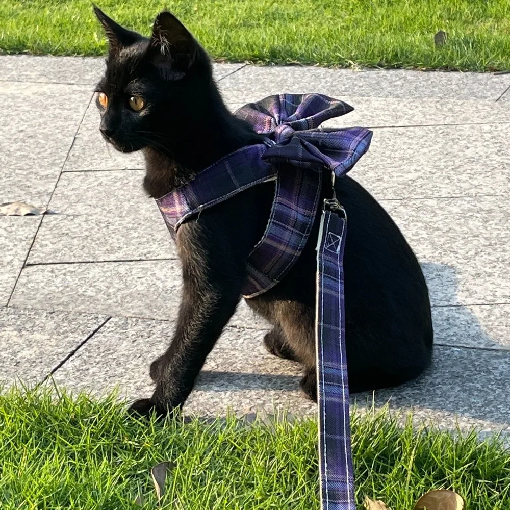 

Cute Nylon Dog Leash Vest Style Breathable Bow Cat Harness Detachable Escape Proof Pet Traction Rope Bichon