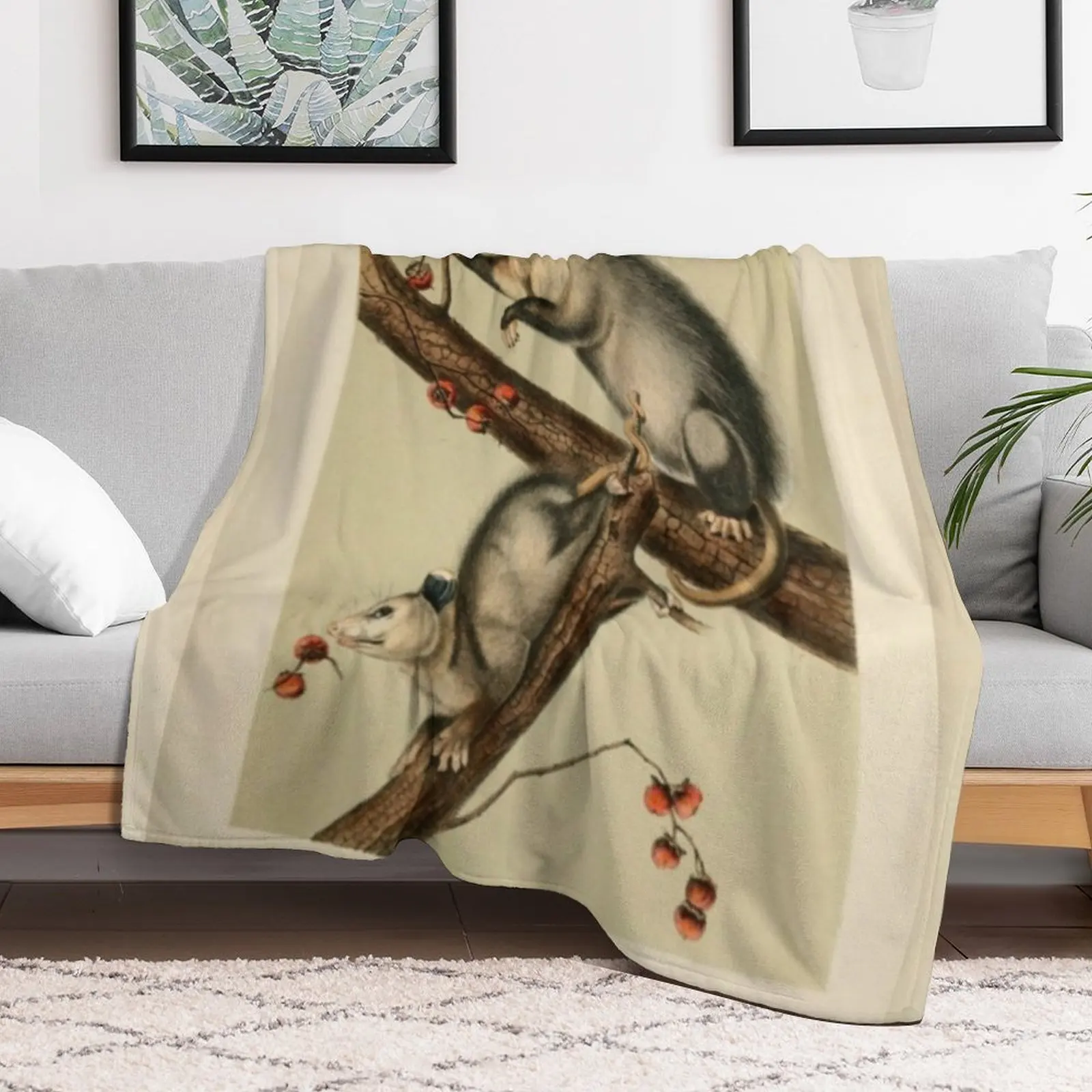 Naturalist Opossum Throw Blanket manga Furry Blankets