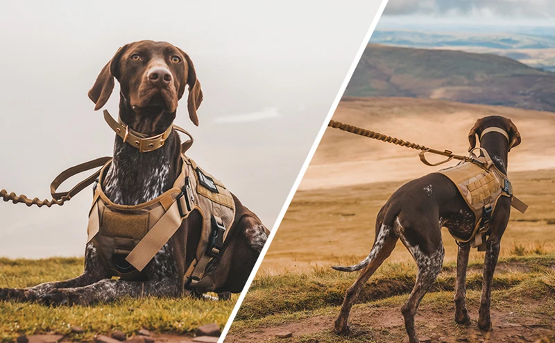 Tactical Dog Harness, Adjustable No-Pull Handle Service Vest Heavy Duty Pet Large Breed, Dog Vest for Training Hunting Walking