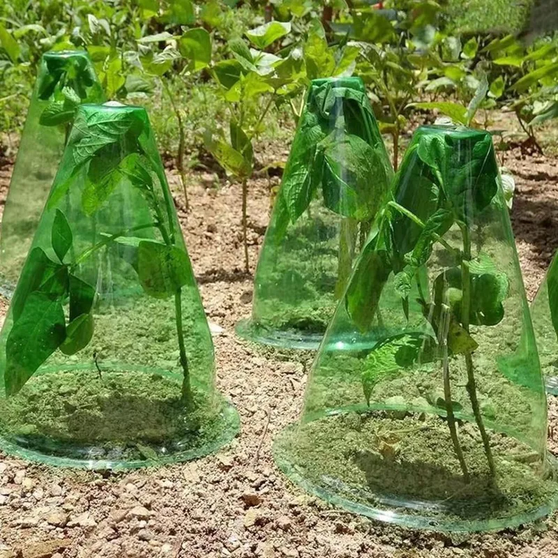 Cloches de jardim para ótimo crescimento e proteção vegetal, Adequado para várias capas de plantas, Proteja as plantas, 12pcs por conjunto