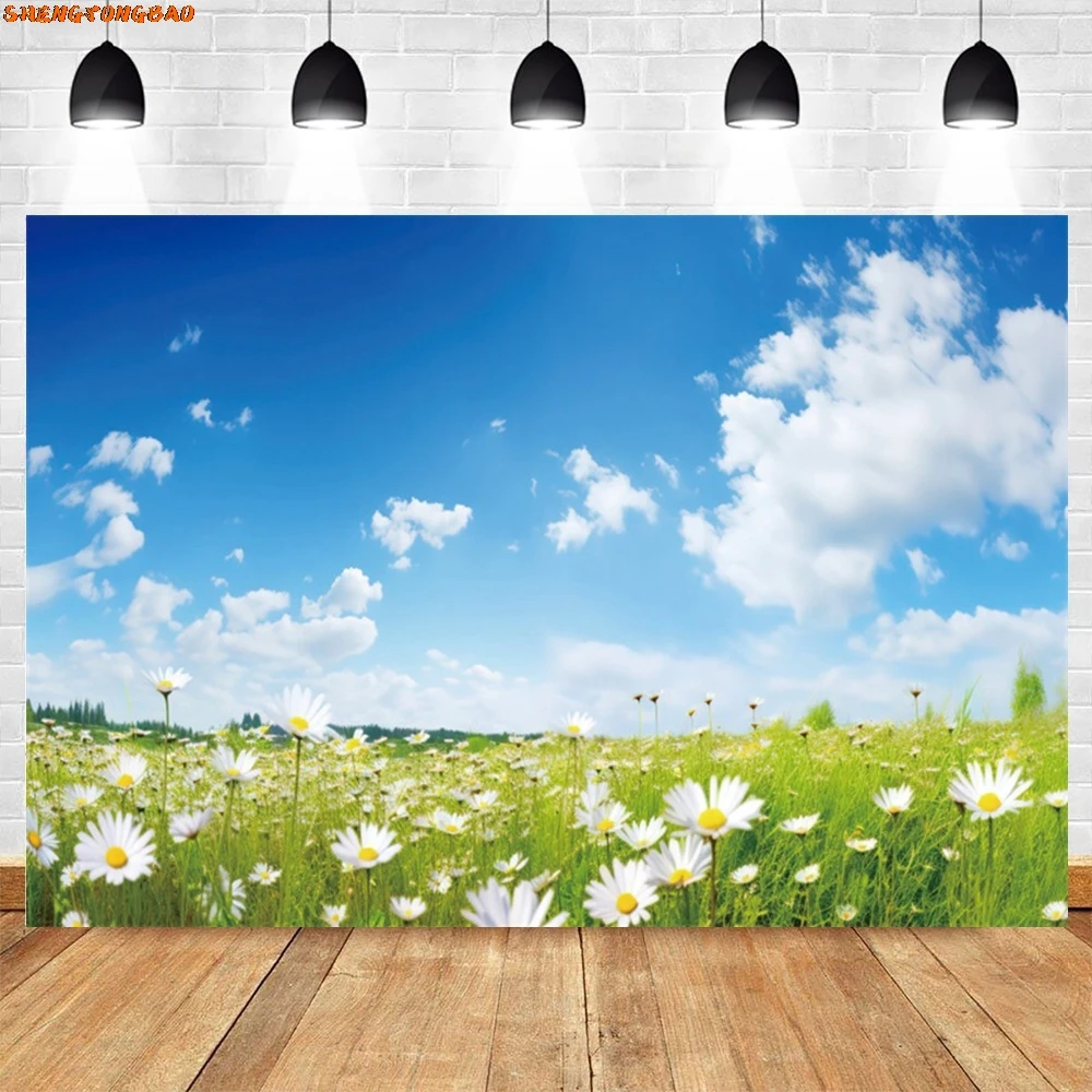 Spring Natural Landscape Backdrop Photography Blue Sky White Cloud Sunshine Green Grass Flowers Scene Background Photozone Props