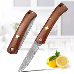 Folding Knife Damascus Steel Hand Forge Wood Handle Utility Kitchen Knives Slicing Meat Paring Fruit Boning Knife Folding Knives