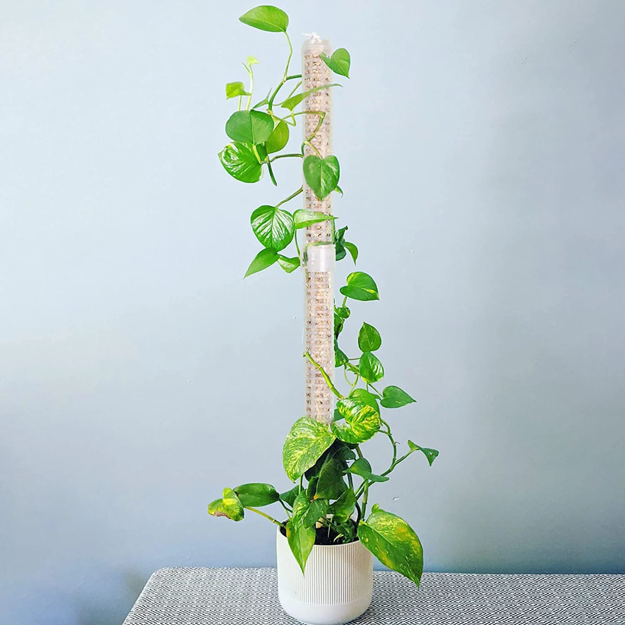 Potted Climbing Plant Pole Sphagnum Moss Sticks Plant  Fertilizer-rich Growing Support Palm Stick Climbing Supporting Stick