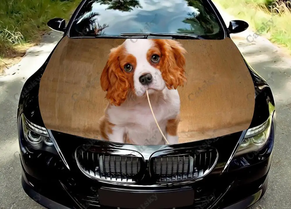 Cavalier King Charles Spaniel Car Sticker Hood Vinyl Wrap Vinyl Film Engine Cover Decals Sticker Universal Hood Protective Film