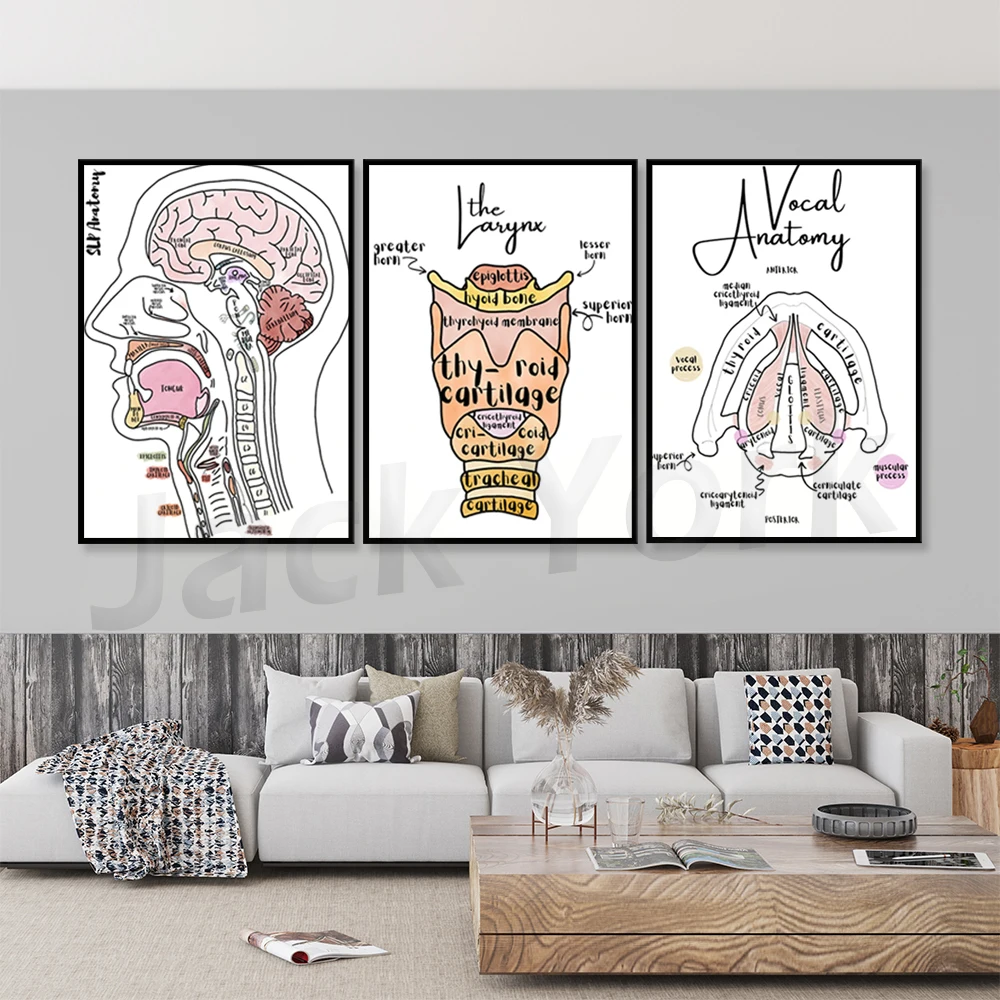 Anatomy & Physiology SLP Labeled Posters -  | speechie educational  posters