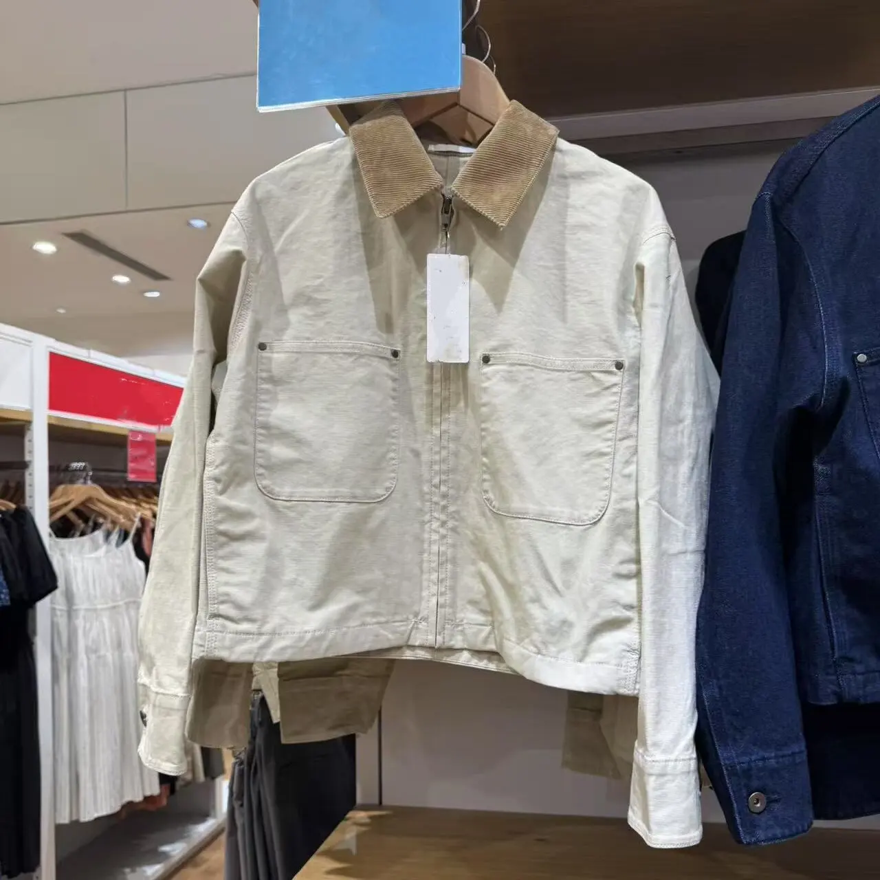 Casual Short Jacket Autumn Style Women's Clothing Versatile Zipper Coat Stand Collar Fitting Room Friendly Cotton Blend