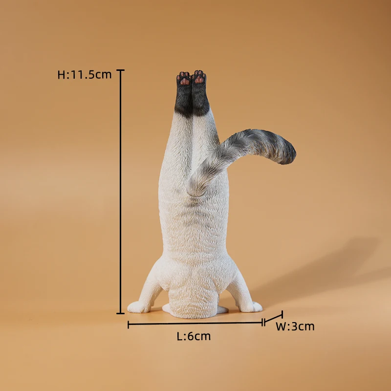 1/6 Yoga cat model simulation fitness cat doll creative small ornament tide play figure