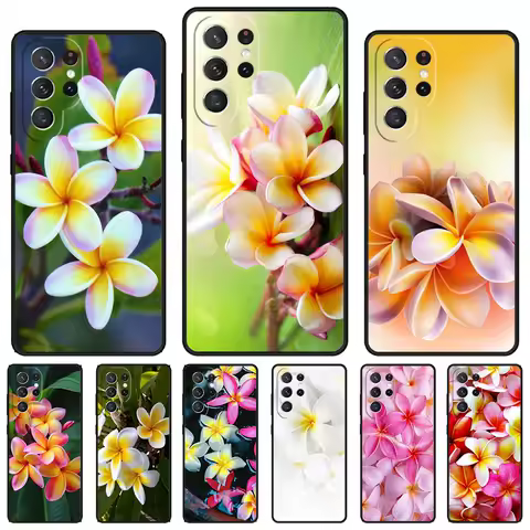 Frangipani Flowers phone case For Samsung Galaxy S24 S23 S22 Ultra Note 10 20 Plus S8 S9 S10 S20 S21 FE Cover