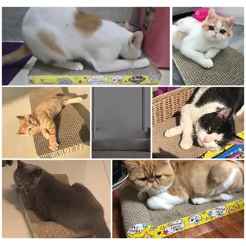 8 best sales बिल्ली के सामान - №6