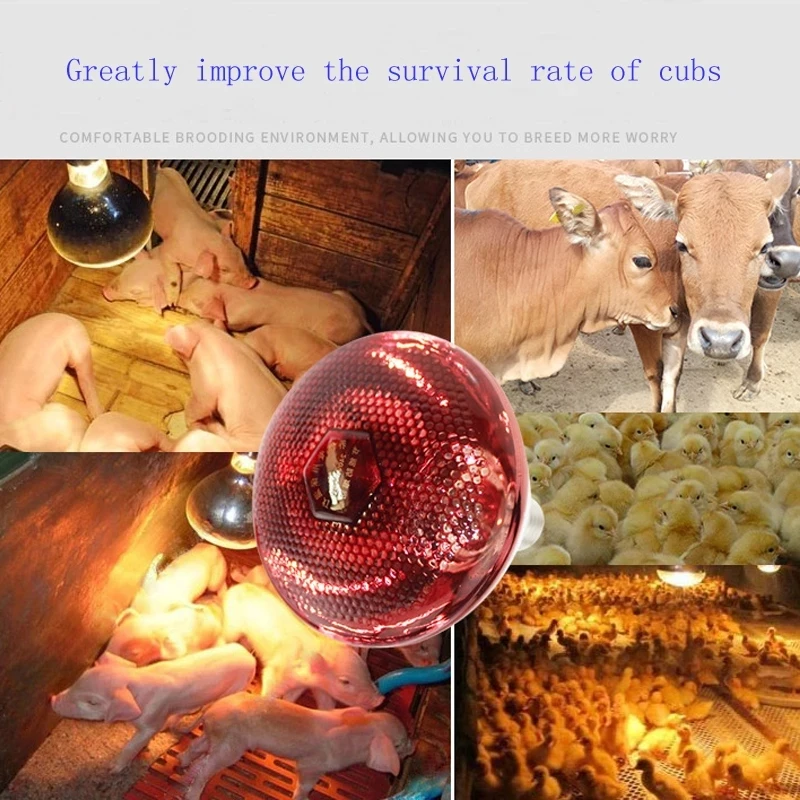 Piglets Infrared Light Insulation Lamps Chicks Heating Light Cubs Waterproof Riot Heating Lamps Dog Breeding Insulation Equipmen