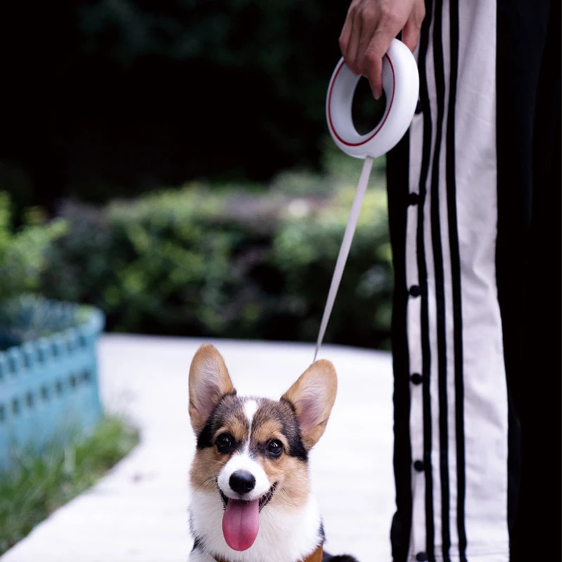 MOESTAR Retractable Dog Leash Lite Version Durable Training Walking Safety Dog Rope 3M Retraction Length for Max Pet Weight 30kg 5