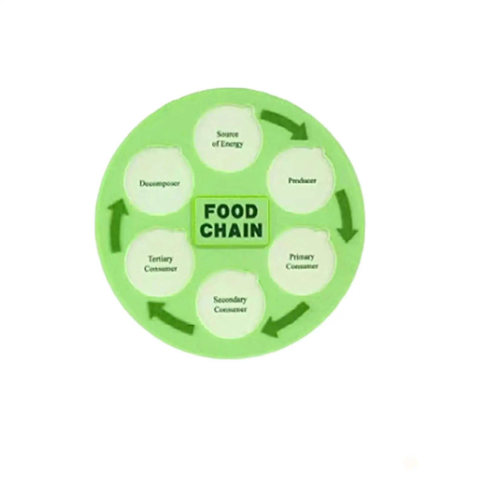 Simulation Animal Natural Food Chain Science Game Felt Educational Toy for Kids Children Learning and Imagination